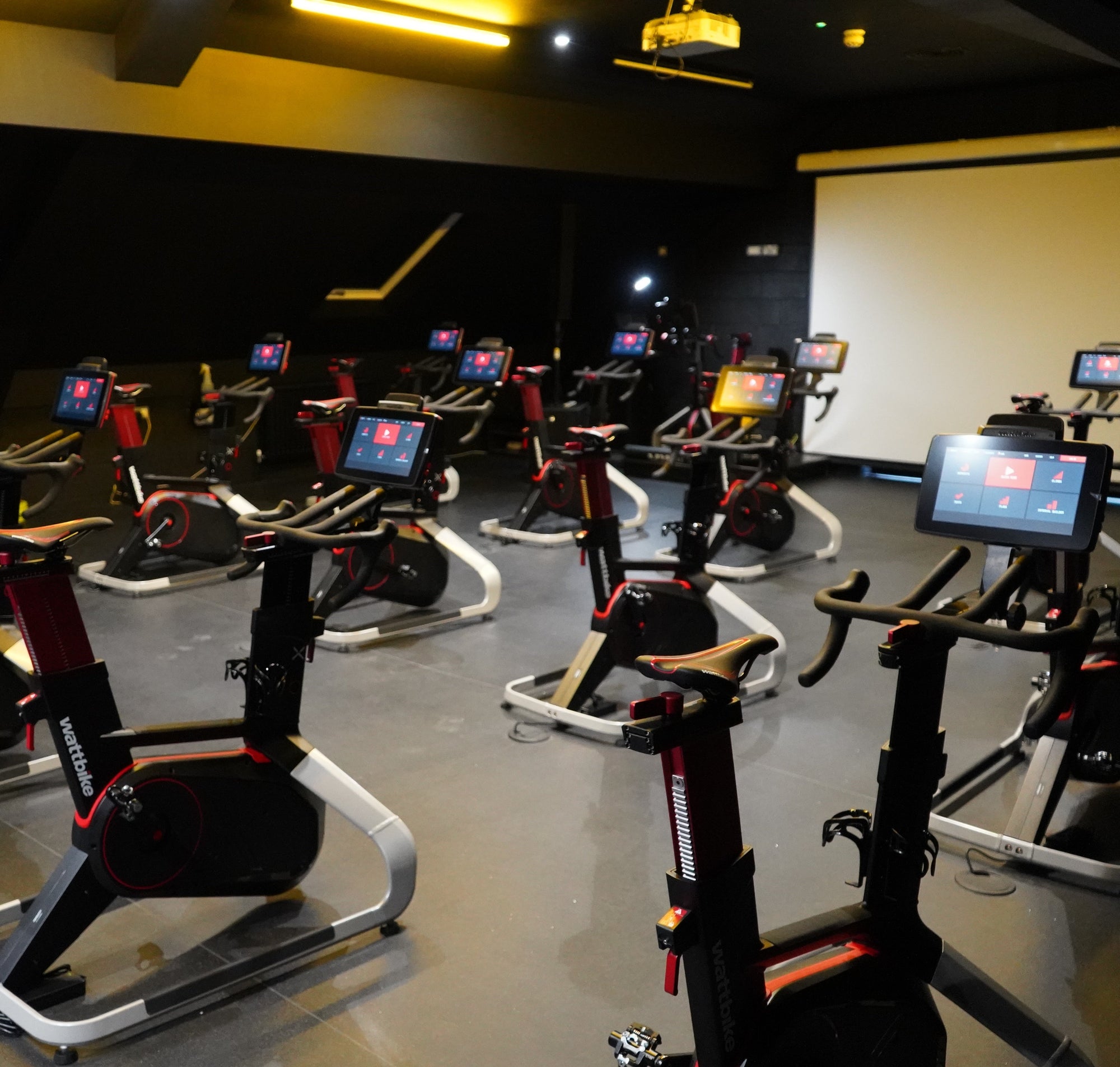 Understand The Different Types Of Exercise Bikes & Which One To Choose