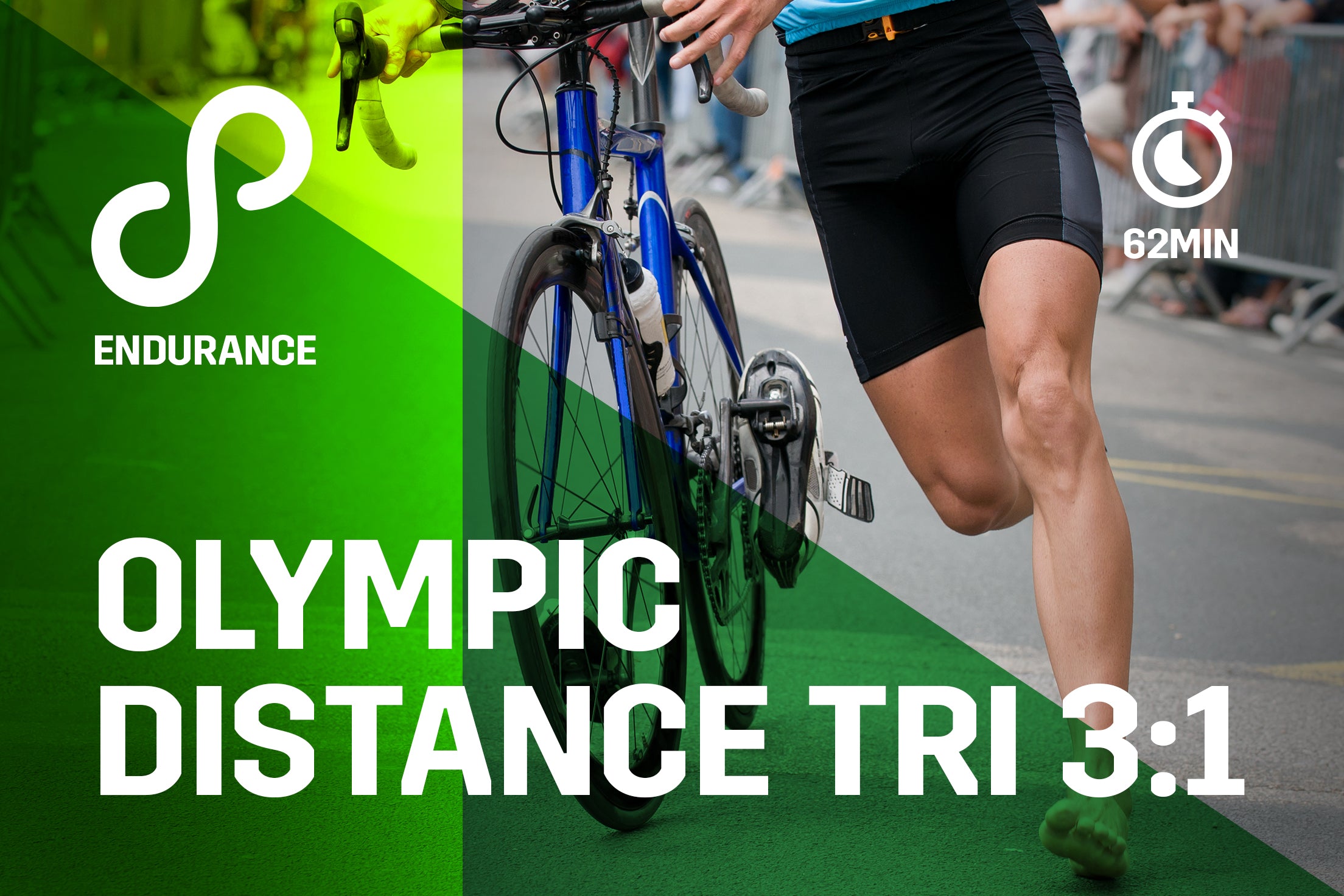 Workout Title: Olympic Distance Tri 3:1